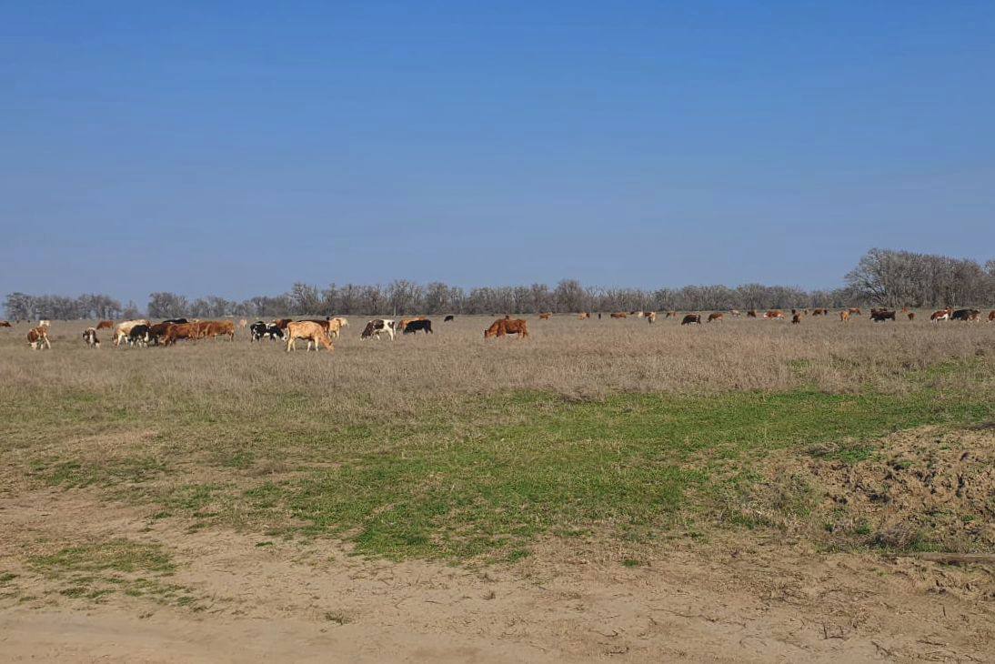Минимущество Дагестана завершило проверку земельного участка в Ногайском районе